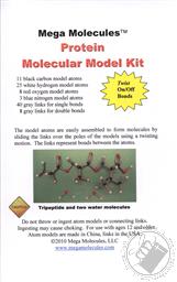 Protein (Polypeptides) Molecular Model Kit (95 Pcs) Mega Molecules,Mega Molecules LLC