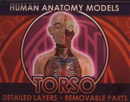 Ein-O Science BioSigns Torso (Human Anatomy Model),Cog