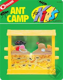 Ant Camp for Kids,Coghlan's Ltd
