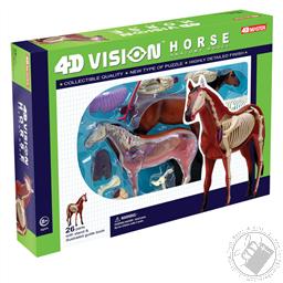 4D Vision Horse Anatomy Model (26 Pieces for Ages 8 and Up) (Biology Model),4D Master