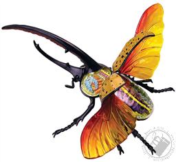 4D Vision Hercules Beetle Anatomy Model (22 Pieces for Ages 8 and Up) (Biology Model),4D Master