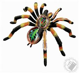 4D Vision Tarantula Spider Anatomy Model (33 Pieces for Ages 8 and Up) (Biology Model),4D Master