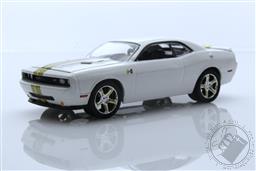 2009 Dodge Challenger R/T - Hurst Performance Edition (Hobby Exclusive),Greenlight Collectibles 