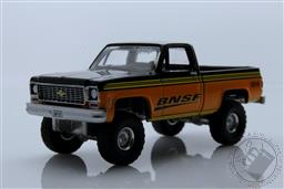 Auto World 1:64 Exclusive 1973 Chevrolet C10 YARD BNSF Railroad Support Vehicle Limited 2,496 Pcs,Auto World